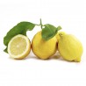 citrons caisse de 6 Kg