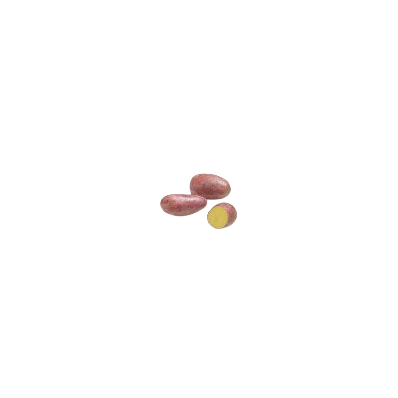 Pommes de terre rose alouelle 5 kg