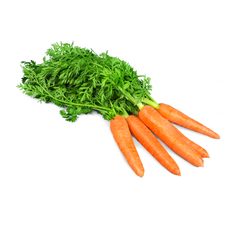 Carottes 1 Kg