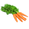Carottes 1 Kg