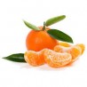 mandarines caisse de 6 Kg