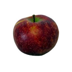 Pommes Garance 12kg