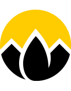 Graines torréfiées au four solaire