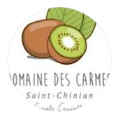 Domaine des Carmes à Pierrerue