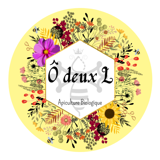 Ô deux L